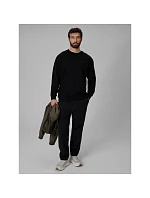Pánská mikina z fleece s pravidelným střihem bez kapuce 4F 4FRMM00TSWSM3059-20S