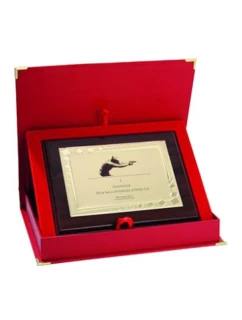 Dyplom z tworzywa sztucznego z  grawerowany + etui model 21829388