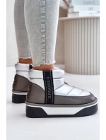 Niskie Śniegowce Na Grubej Podeszwie D.Franklin DFSH371010 Srebrne