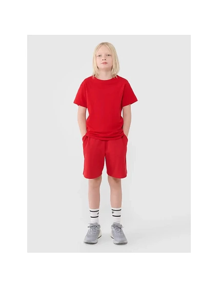 Chlapecké teplákové šortky model 22099218 - 4F