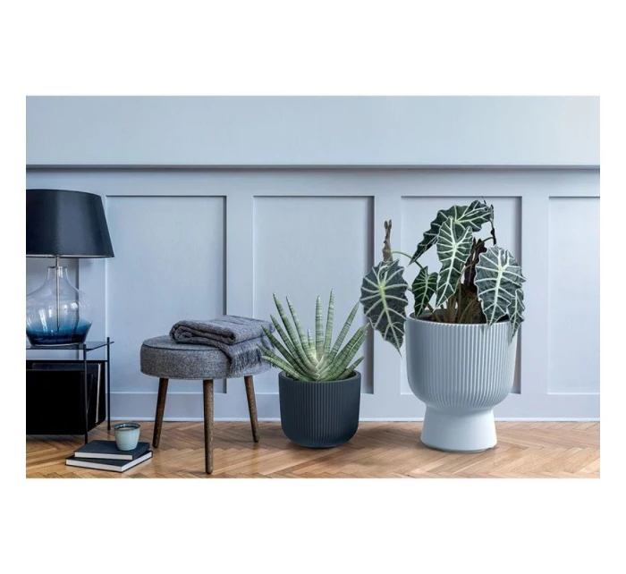 MILLY KVETINOVÝ POND, priemer 24 cm BIELA