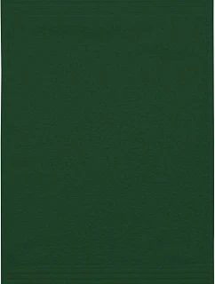 Guest 30x50 Ručník pro hosty model 22547054 green - The One Towelling