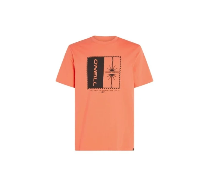 O'Neill Mix & Match Palm TShirt M model 20119157 - ONeill O'Neill Mix & Match Palm TShirt M model 20119157 - ONeill