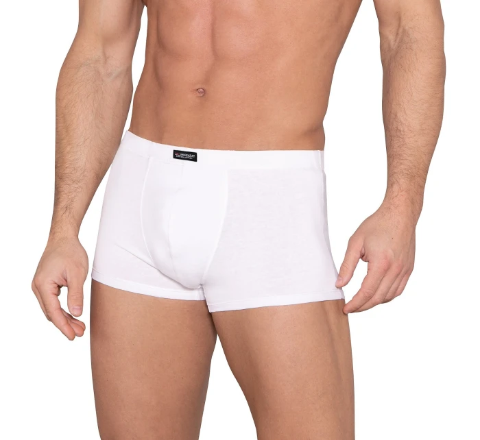 Boxerky  A'2 3XL4XL model 21915772 - Lama