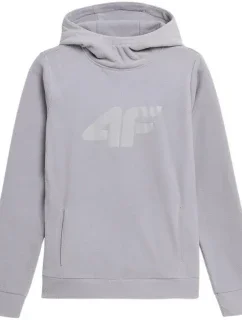 Dámská fleecová mikina W H4L22 model 17219127 - 4F