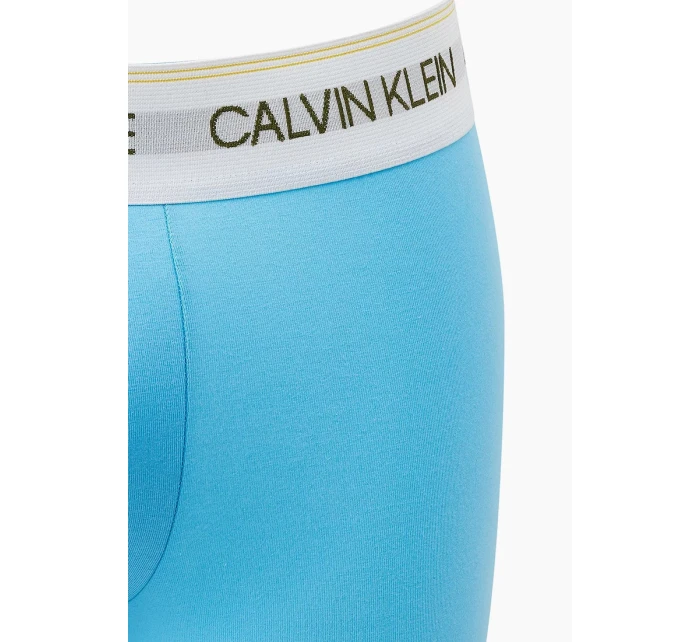 Pánské boxerky model 17086331 - Calvin Klein Pánské boxerky model 17086331 - Calvin Klein