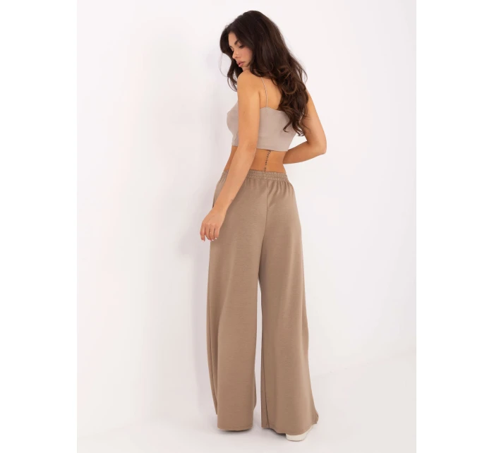 Spodnie IT SP model 21389022 ciemny bezowy - FPrice Spodnie IT SP model 21389022 ciemny bezowy - FPrice