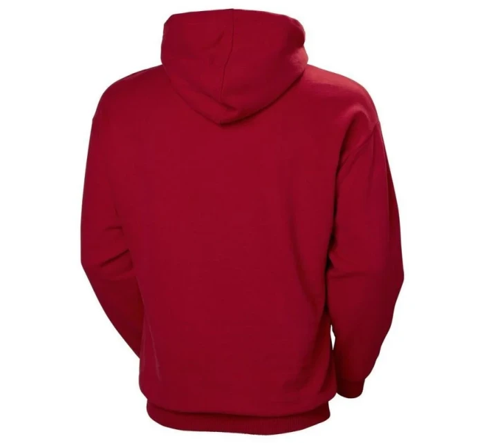 Hoodie M 162 model 18990140 - Helly Hansen