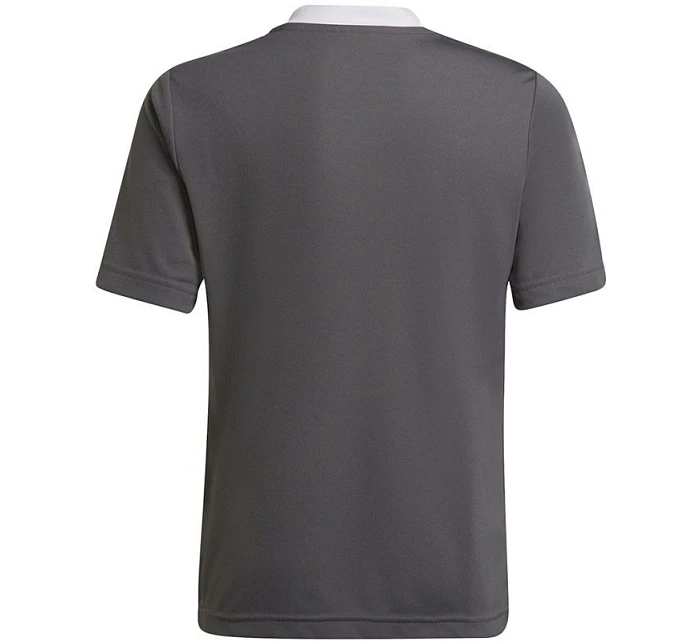 Detské tréningové tričko Entrada 22 Jsy Jr H57499 - Adidas