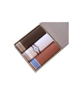 Pánské kapesníky model 20504461 A'3 - EGA