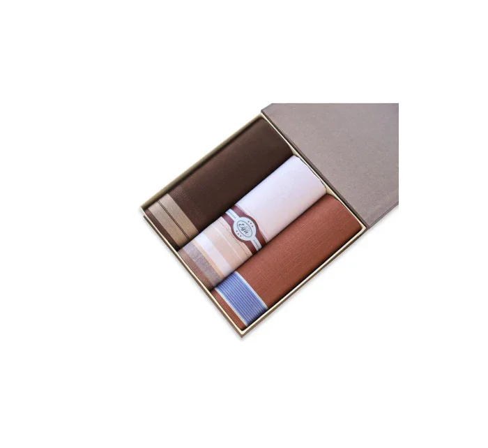 Pánské kapesníky model 20504461 A'3 - EGA Pánské kapesníky model 20504461 A'3 - EGA