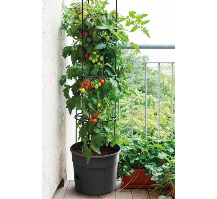 Rajčiak s rebríkom 28L kapacita detské