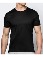 Pánské tričko model 20839734 - Atlantic