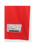 Pánské volejbalové tričko s potiskem model 21756956 - 4F