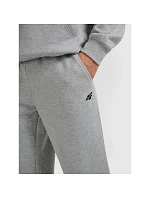 Pánské joggerové tepláky 4F 4FRMM00TTROM1625-27M Pánské joggerové tepláky 4F 4FRMM00TTROM1625-27M