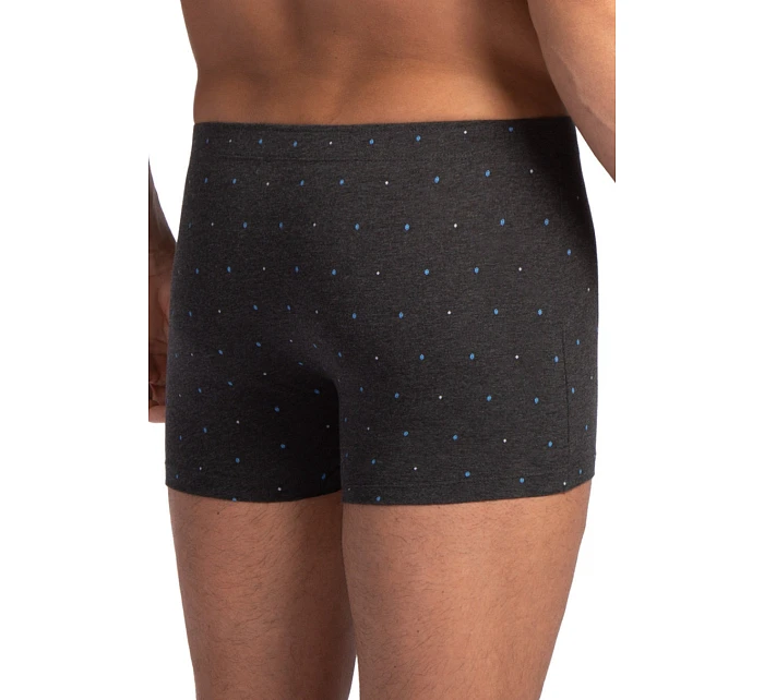 PÁNSKÉ ŠORTKY model 22106961 2PACK - Lama