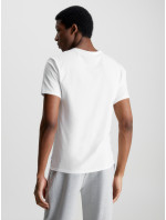 Spodné prádlo Pánske tričká 2P S/S V NECK 000NB1089A100 - Calvin Klein