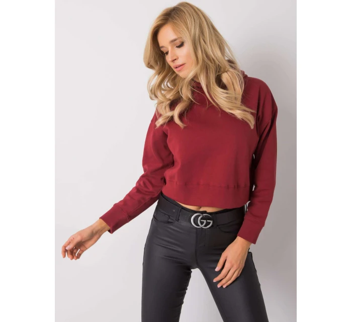 Mikina TW BL G 046.99 gaštanová