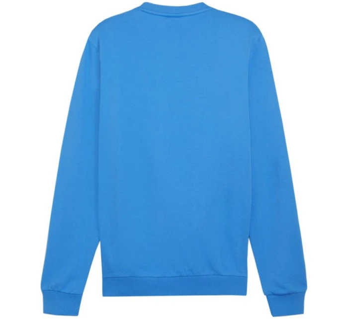 Pánska mikina Puma Team Goal Casuals Crew Neck M 658592 02