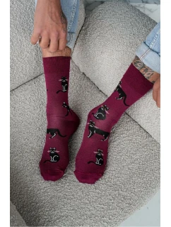 Pánske ponožky Cats 0125.034