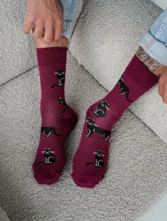 Pánske ponožky Cats 0125.034