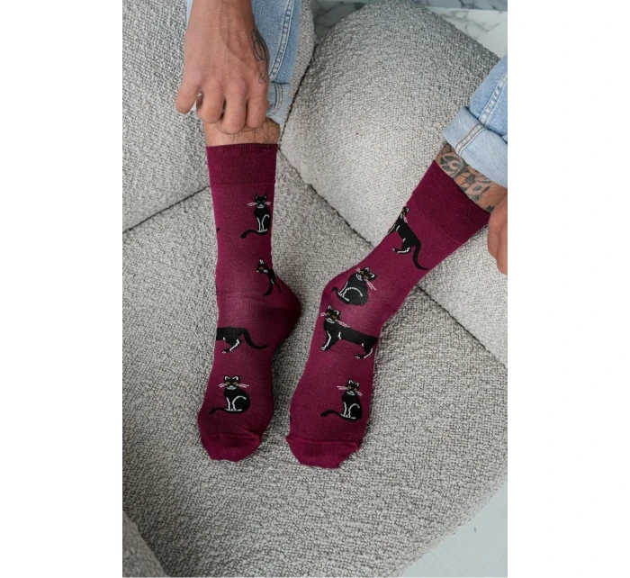 Pánske ponožky Cats 0125.034