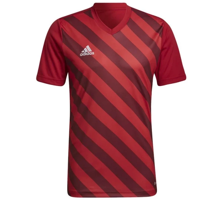 Pánsky dres Entrada 22 Graphic Jersey M HB0572 - Adidas