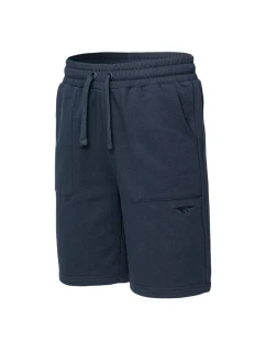 Pánske šortky AZYNI