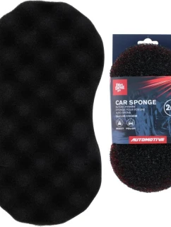 OBOJSTRANNÁ ŠPONGIA NA UMÝVANIE AUTA 21,5X11CM DIRT DEVIL
