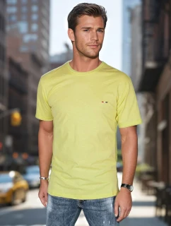 Pánské tričko s výšivkou žluté model 21985802 - Dstreet