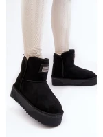 Sněžnice Na Platformě  Černé model 21638839 - D.Franklin