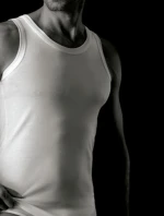 Pánska košeľa Cotonella AU004