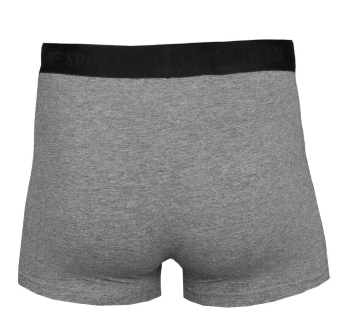 Pánské slipy M model 17222662 - 4F