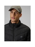 Kurtka z wypełnieniem męska  pánské model 22550160 - 4F