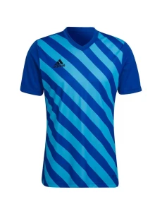 Pánsky dres Entrada 22 Graphic Jersey M HF0116 - Adidas