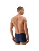 Plavecké šortky M WSS25USWT 30S model 21231822 - 4F Plavecké šortky M WSS25USWT 30S model 21231822 - 4F