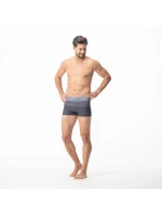 Pánske plavky Stripe M 92800076209 - Aquawave