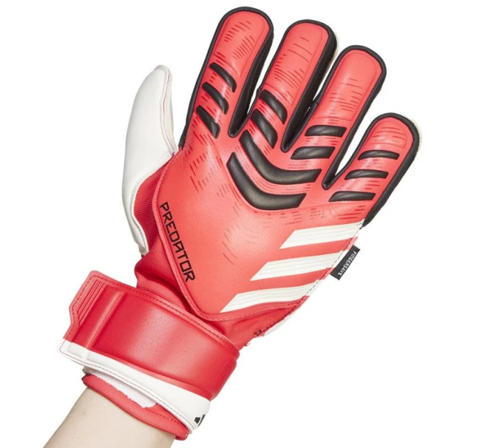 Predator GL  M Brankářské rukavice model 20876571 - ADIDAS