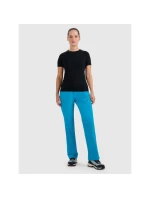 Dámske trekingové nohavice 4F 4FRAW25TFTRF1234-33S