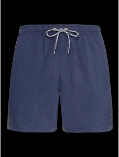 Protestné pánske plážové šortky DAVEY