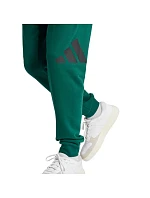 Nohavice adidas Essentials Big Logo French Terry M JE8971