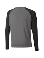 Mikina pre brankárov Puma teamPacer GK LS Jersey Jr 704939 43