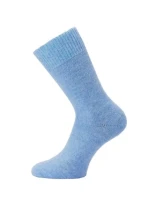 Dámské ponožky  3542 model 20514471 - WiK