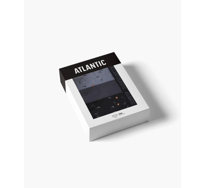 Slipy model 20547561 A'3 S2XL - Atlantic