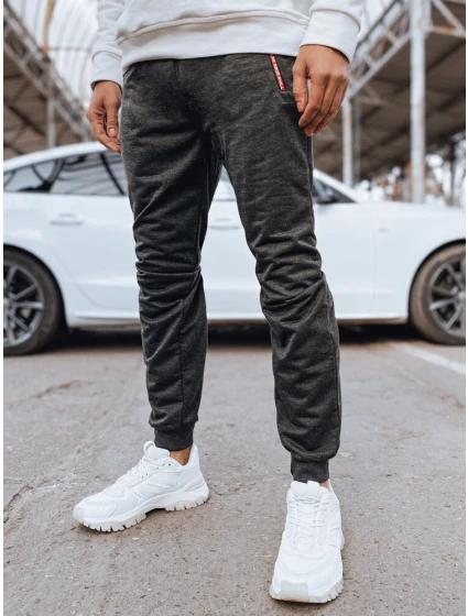 Pánské tmavě šedé tepláky model 21975803 - Dstreet