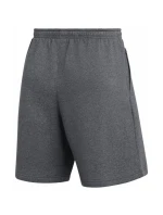 Pánske fleecové šortky Nike Park 26 Grey IB1238 063