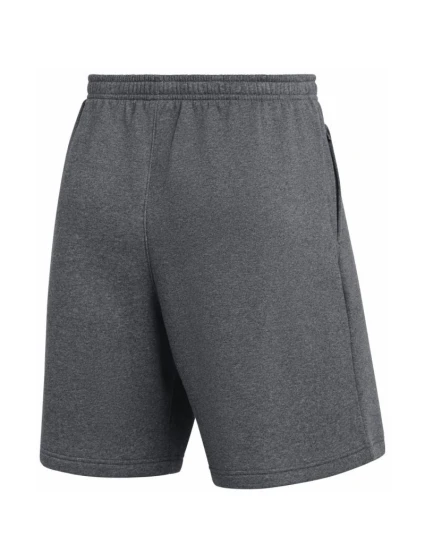 Spodenki męskie Park 26 Fleece szare model 22002041 063 - NIKE