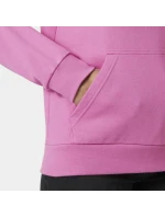 Helly Hansen Core Graphic Hoodie W 54239 089