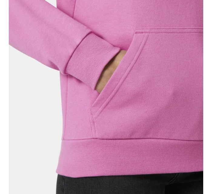 Helly Hansen Core Graphic Hoodie W 54239 089