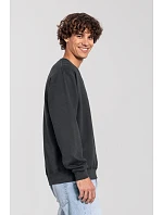 Iconic 250 SetIn Sweat Mikina model 22459207 light graphite - Fruit of the Loom Iconic 250 SetIn Sweat Mikina model 22459207 light graphite - Fruit of the Loom